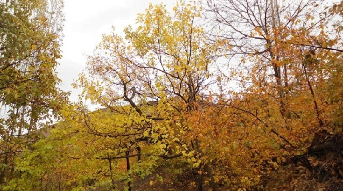 روستای لیلستان روستای لیلستان روستای لیلستان