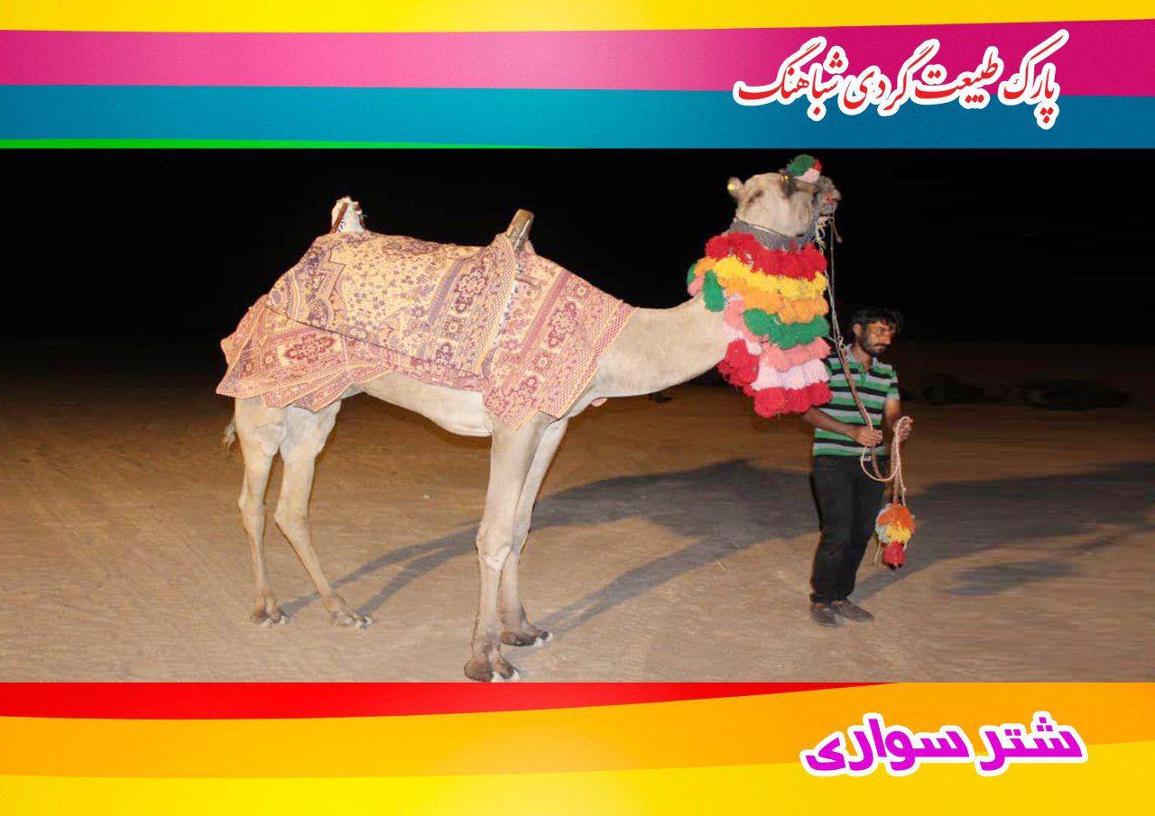پارک طبیعت گردی شباهنگ پارک طبیعت گردی شباهنگ