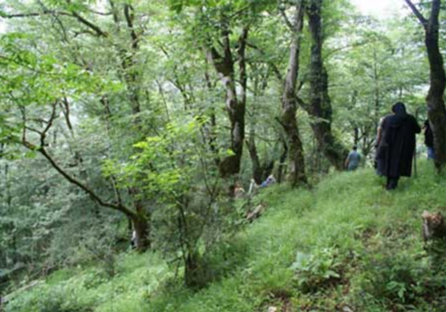 اگر به دنبال مقصد خنک و سرسبزی برای سفر هستید ! اگر به دنبال مقصد خنک و سرسبزی برای سفر هستید ! اگر به دنبال مقصد خنک و سرسبزی برای سفر هستید !