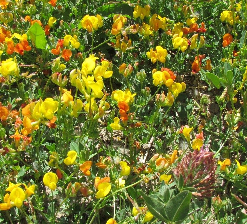 روستای گته ده