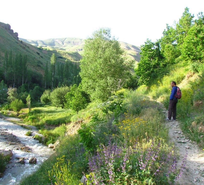 روستای گته ده