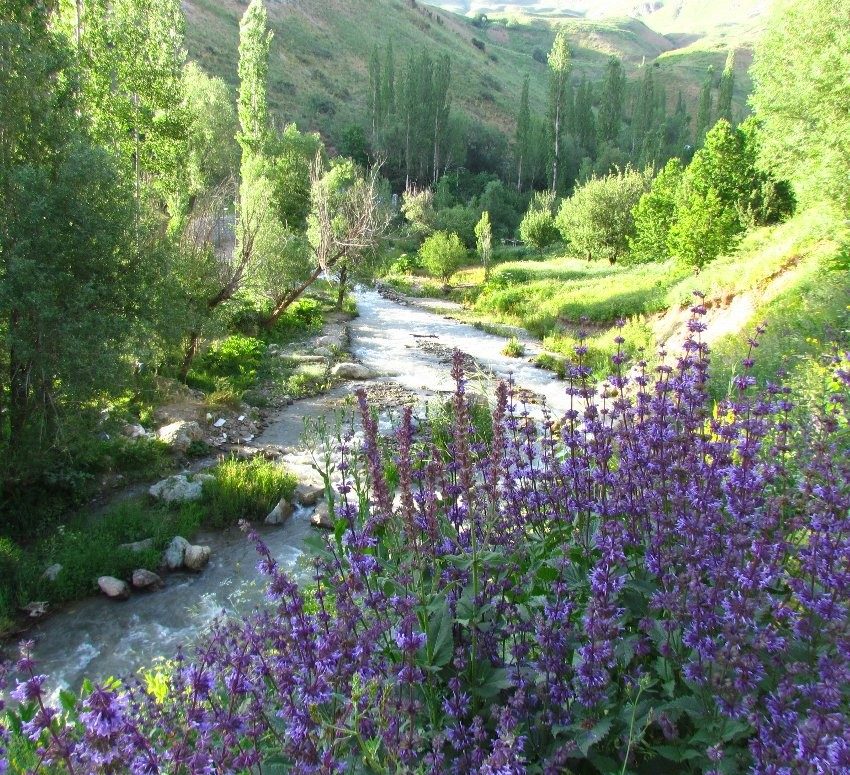 روستای گته ده
