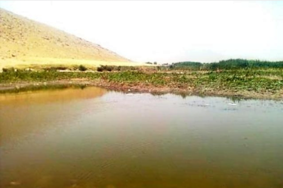 تالاب چم شور اسدآباد تالاب چم شور اسدآباد