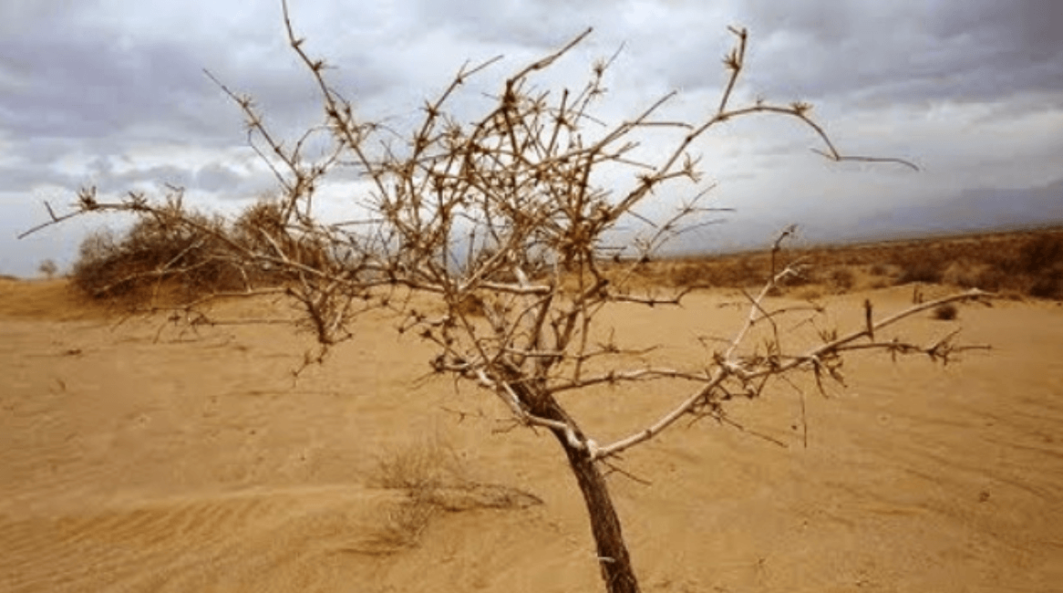 ريگ شق (کوير متين آباد)