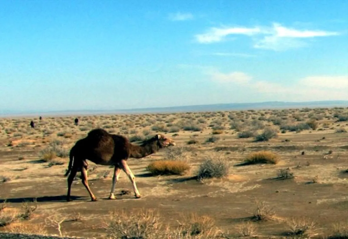 کویر جندق کویر جندق