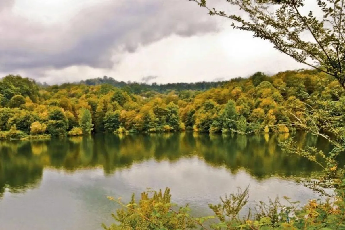 جنگل الیمالات نور