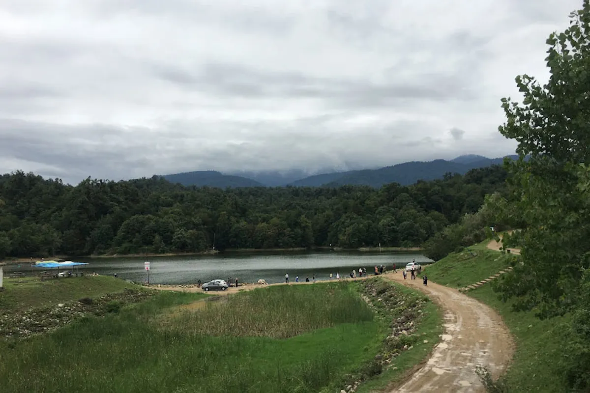 جنگل الیمالات نور