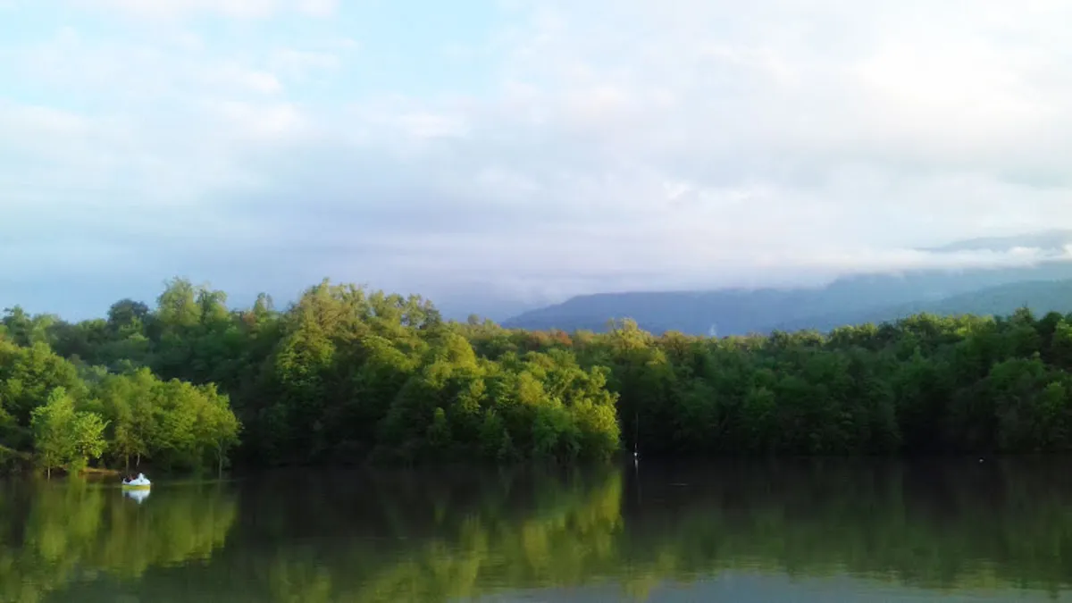 جنگل الیمالات نور