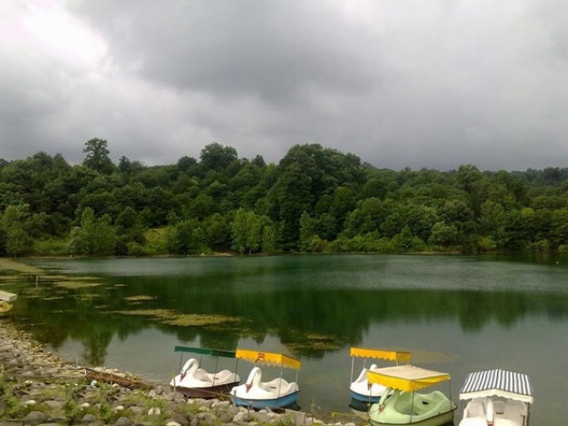 جنگل الیمالات نور