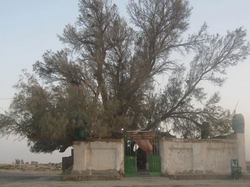 زیارت بی بی دوست زابل  زیارتگاه بی بی دوست زابل