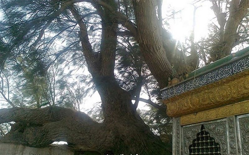 زیارت بی بی دوست زابل  زیارتگاه بی بی دوست زابل