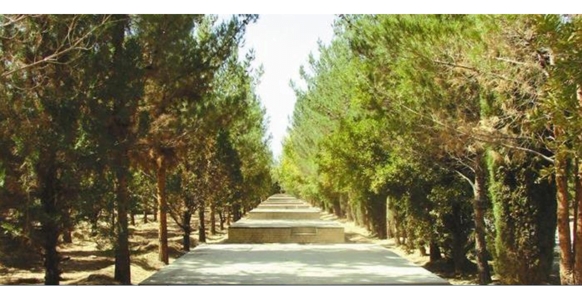 پارک جنگلی فراغه ابرکوه پارک جنگلی فراغه ابرکوه پارک جنگلی فراغه ابرکوه