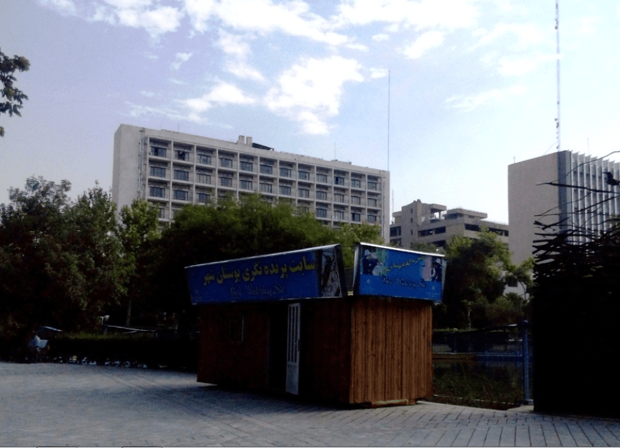 سایت پرنده نگری پارک شهر تهران