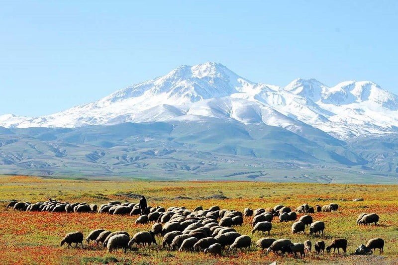 سبلان  کوه سبلان جهانی می شود