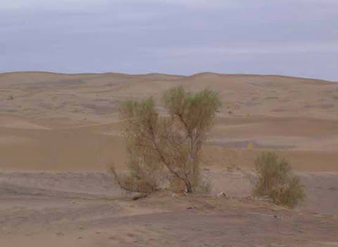 کویر روح مرغوم طبس کویر روح مرغوم طبس