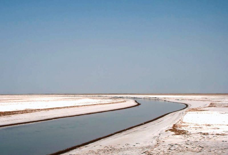 کویر روح مرغوم طبس کویر روح مرغوم طبس
