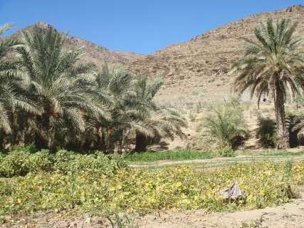 منطقه گردشگری گرگان نیکشهر گرگان نیکشهر منطقه گردشگری گرگان نیکشهر