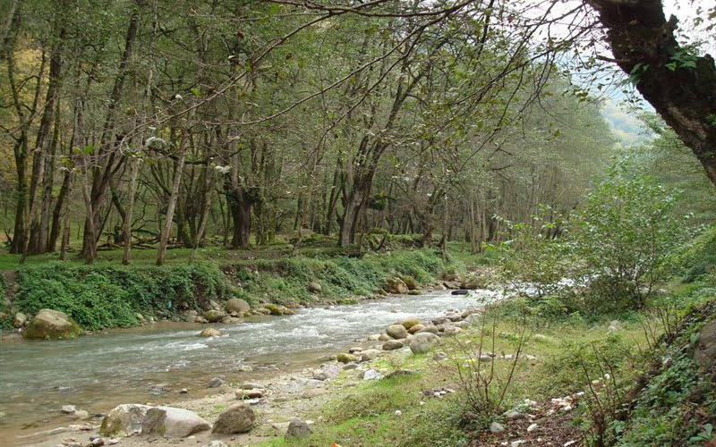 جنگل خانیکان یا جنگل نیرنگ نوشهر جنگل خانیکان یا جنگل نیرنگ نوشهر