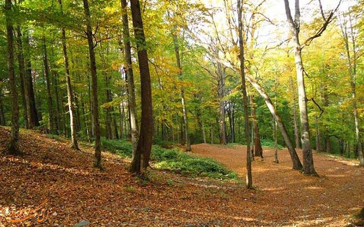 20 جای دیدنی گلستان در تابستان گلستان در تابستان 20 جای دیدنی گلستان در تابستان