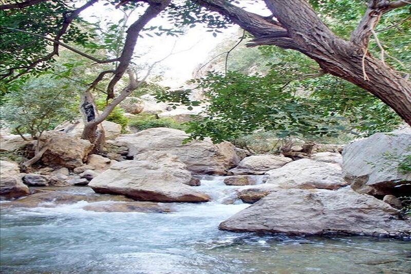 سفر به جاذبه های دیدنی کهگیلویه و بویراحمد در تابستان کهگیلویه سفر به جاذبه های دیدنی کهگیلویه و بویراحمد در تابستان