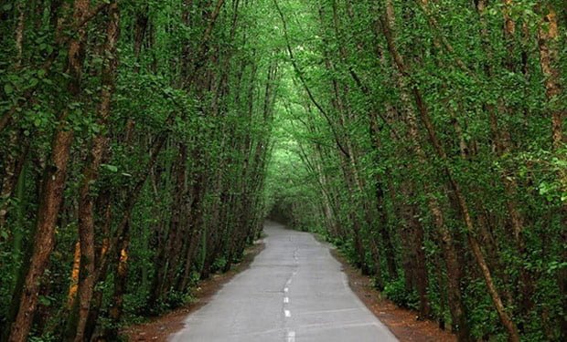 20 جای دیدنی گیلان در تابستان جاهای دیدنی گییلان در تابستان 20 جای دیدنی گیلان در تابستان