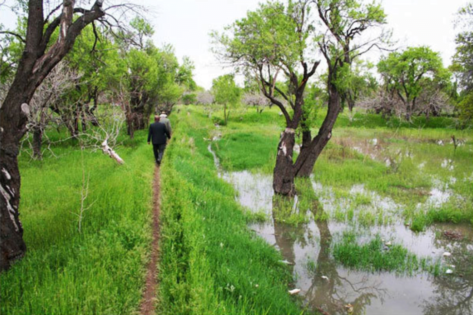 باغستان سنتی قزوین باغستان سنتی قزوین
