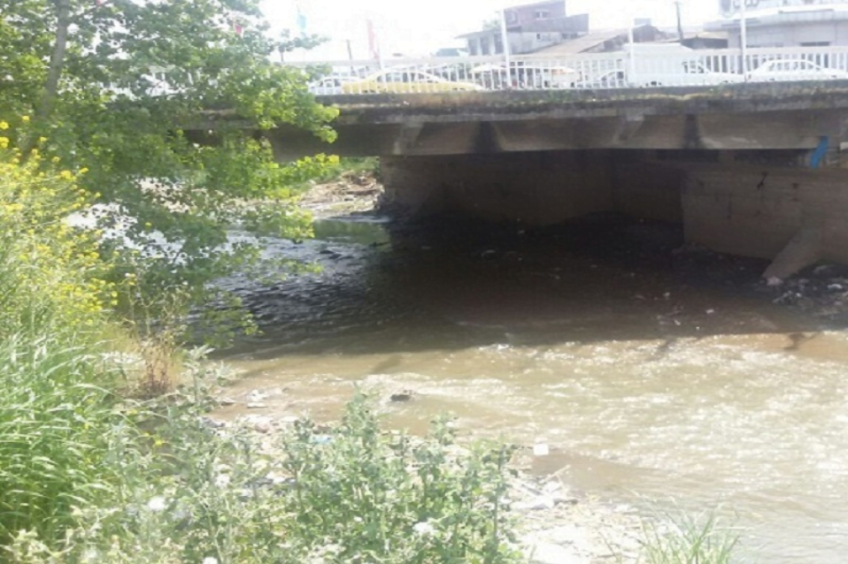 رودخانه مرداب آستارا رودخانه مرداب آستارا رودخانه مرداب آستارا