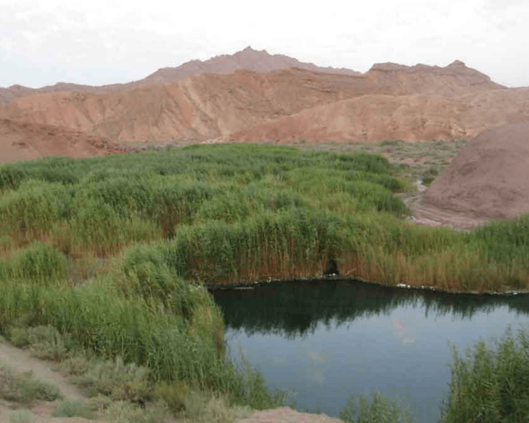 چشمه معدنی تلخاب لاسجرد چشمه معدنی تلخاب لاسجرد