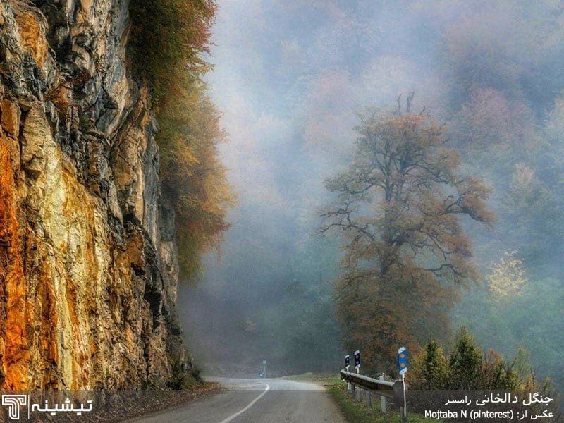 راهنمای جامع اجاره ویلا و جذابترین مقاصد گردشگری شمال راهنمای جامع اجاره ویلا و جذابترین مقاصد گردشگری شمال