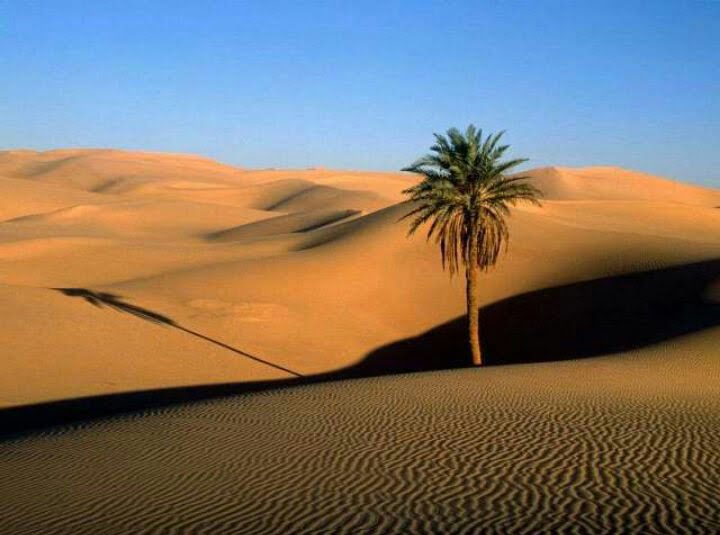 تخت محمدرضایی مصر تخت محمدرضایی مصر