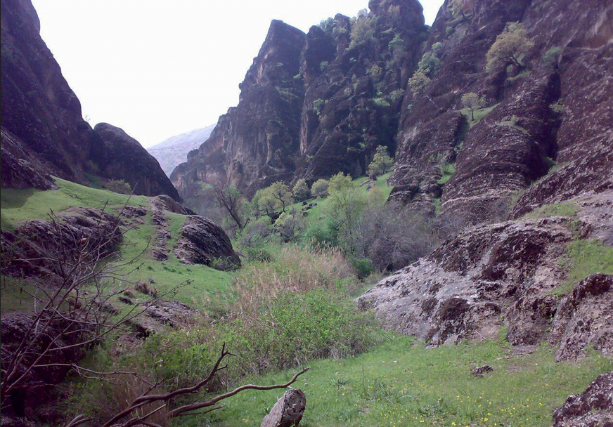 مهراب کوه نورآباد مهراب کوه نورآباد