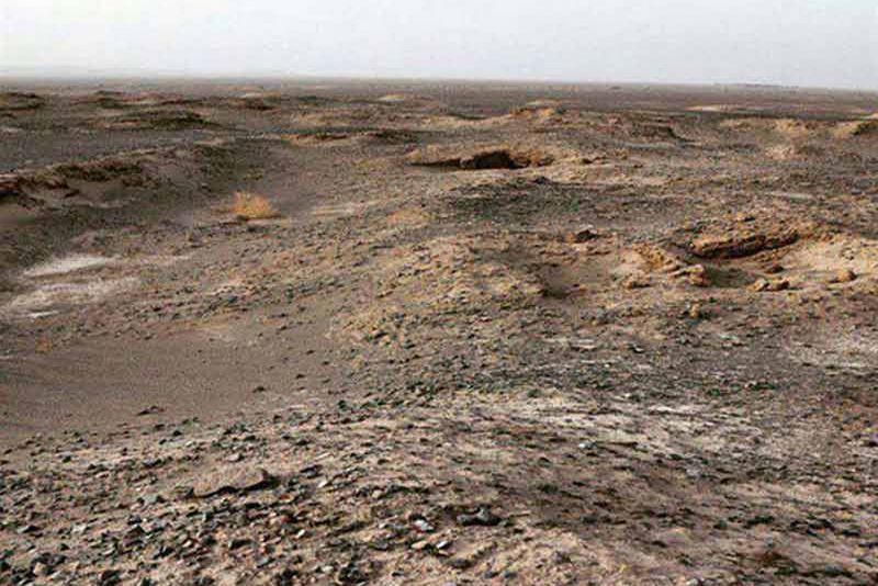 تل آتشین دارستان بم تل آتشین دارستان تل آتشین دارستان بم