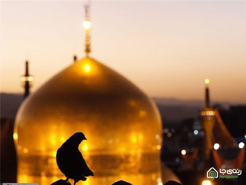  نکاتی برای داشتن یک سفر بی دغدغه