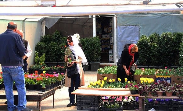 بازار گل شهید محلاتی تهران  بازار گل شهید محلاتی تهران