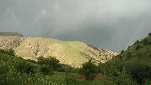 تپه خندو تاکستان تپه خندو تاکستان تپه خندو تاکستان