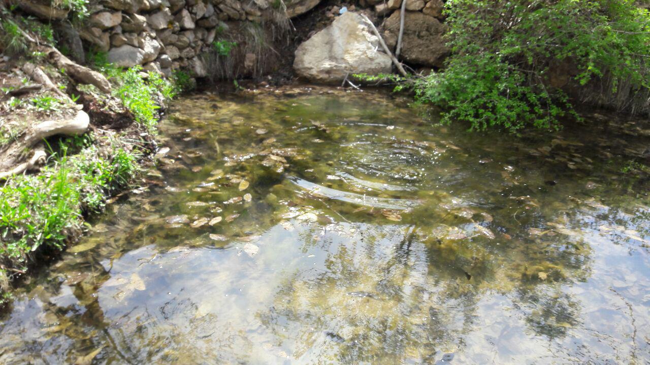 روستای الماس تبریز روستای الماس تبریز روستای الماس تبریز