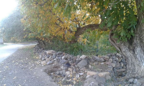 روستای الماس تبریز روستای الماس تبریز روستای الماس تبریز