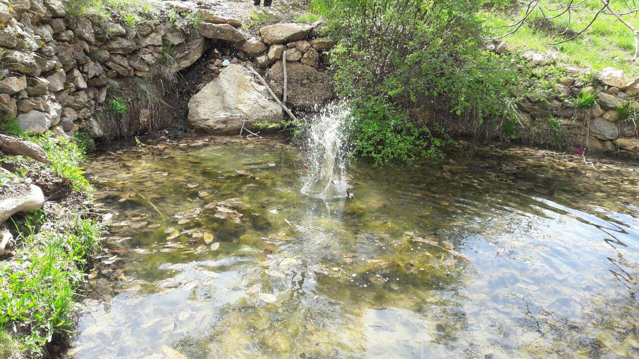 روستای الماس تبریز روستای الماس تبریز روستای الماس تبریز