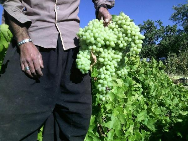 روستای قلعه لان کرمانشاه روستای قلعه لان روستای قلعه لان کرمانشاه