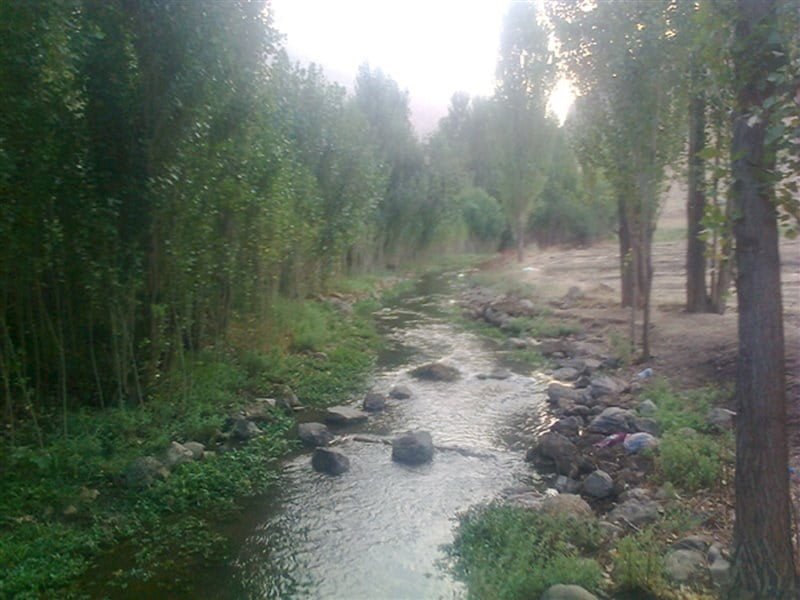 سراب برناج سراب برناج سراب برناج