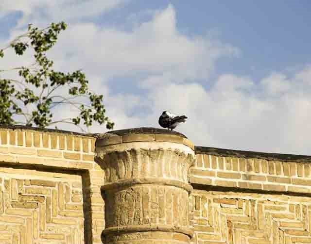 سرای کلبعلی زنجان سرای کلبعلی زنجان سرای کلبعلی زنجان
