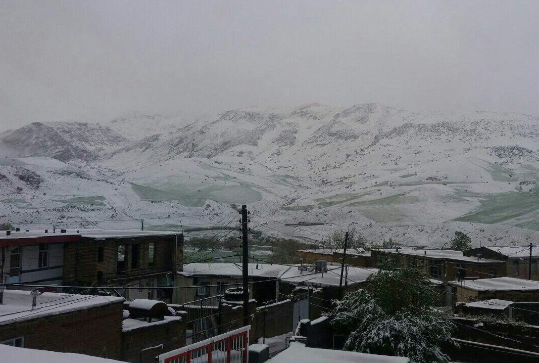 روستای چمنار روستای چمنار روستای چمنار