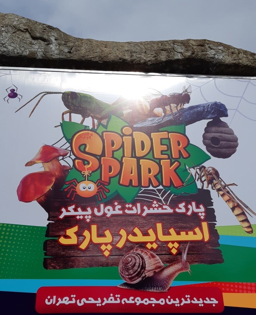 اسپایدر پارک تهران