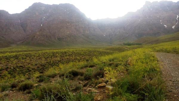 آدرشک  دره آدرشک مهریز