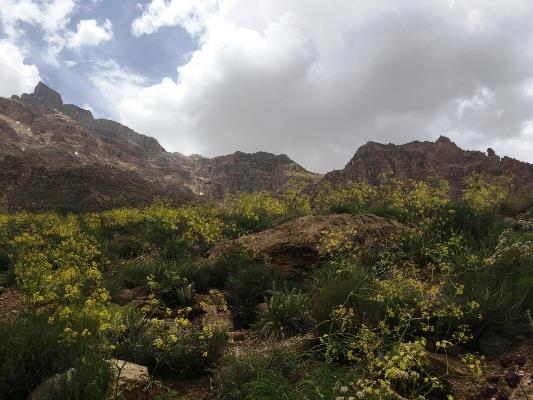 آدرشک  دره آدرشک مهریز