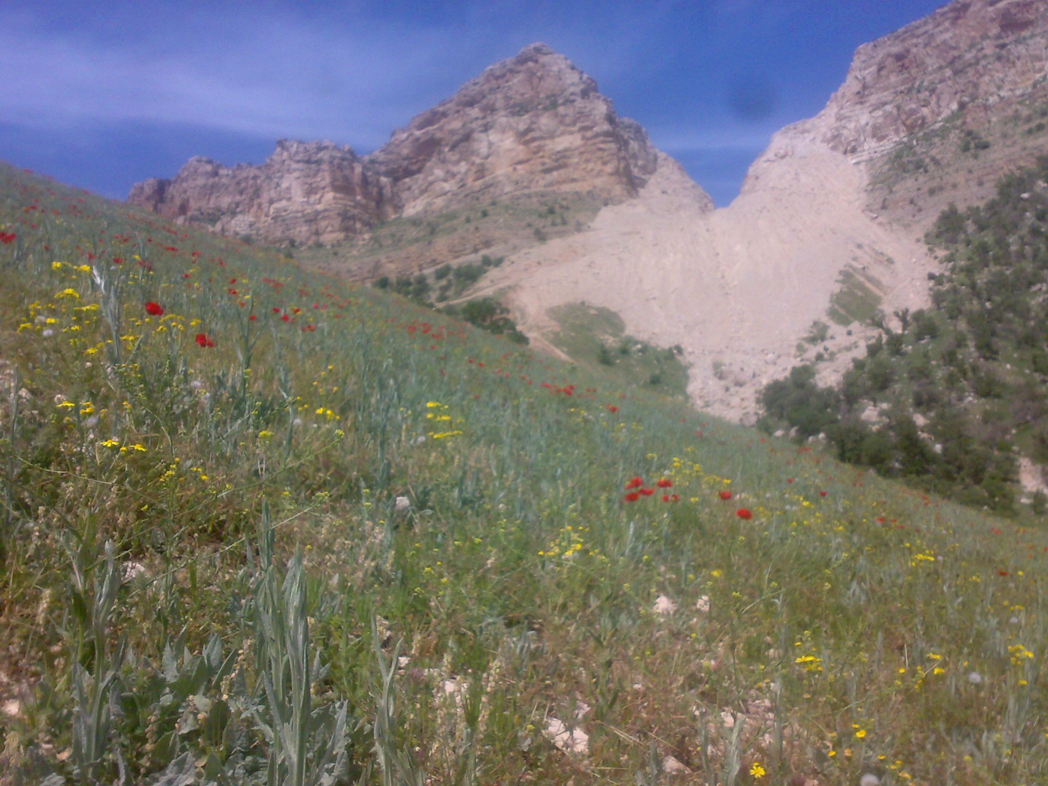 روستای چنان ایلام روستای چنان روستای چنان ایلام