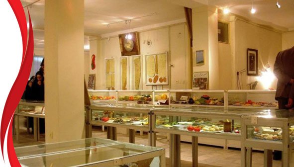 موزه خوراکی های استاد بهتونی  موزه خوراکی های استاد بهتونی