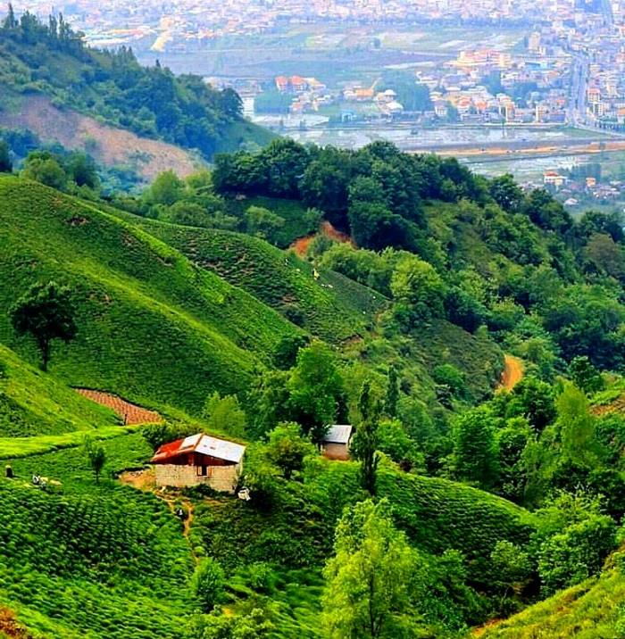 ساحل چمخاله  چمخاله، زیباترین ساحل ماسه ای گیلان