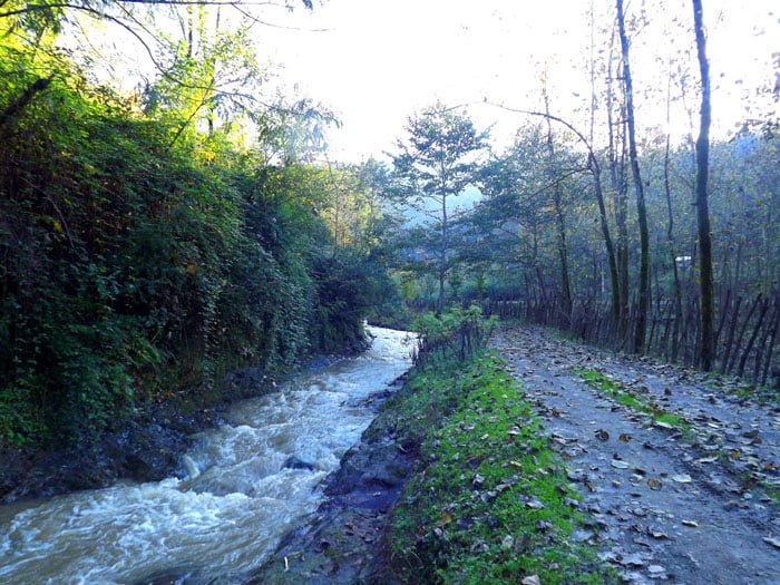 روستای چنارودخان  روستای چنارودخان