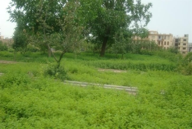 باغ گیاهان دارویی بوعلی سینا همدان  باغ گیاهان دارویی بوعلی سینا همدان